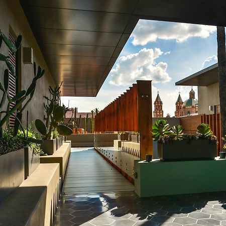 Hotel Criol Керетаро Екстер'єр фото The rooftop garden