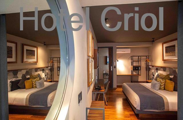 Hotel Criol Керетаро Екстер'єр фото