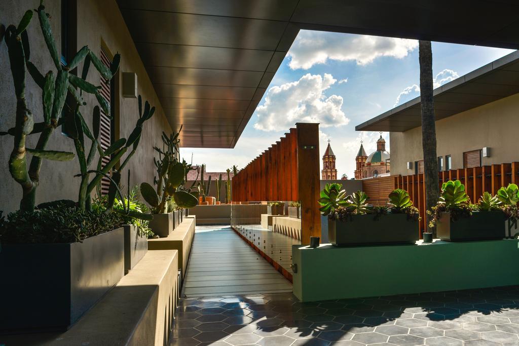 Hotel Criol Керетаро Екстер'єр фото The rooftop garden